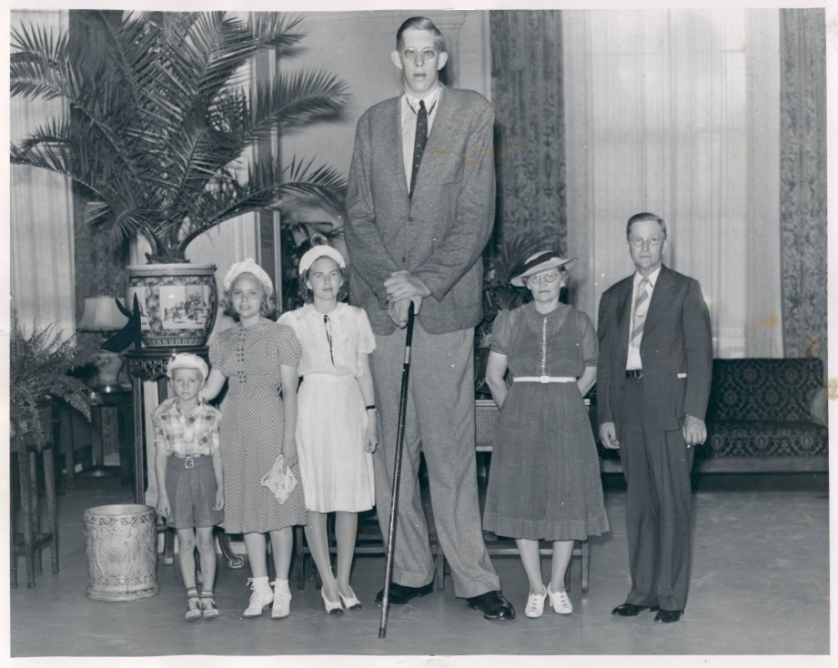 Robert Wadlow sống tại bang Illinois của Mỹ gây sốc với chiều cao 2,72 m. Ông đã qua đời vào năm 1940. Ông trở thành người cao nhất thế giới trong lịch sử.  Kỷ lục thế giới này cho đến nay vẫn chưa bị phá vỡ.